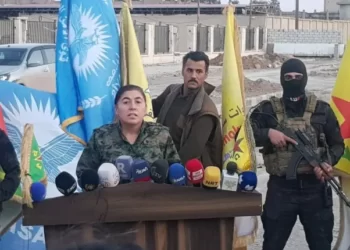 164434 153538 37915cfa f3e4 4ea5 a1e1 75eca861cfed.jpeg