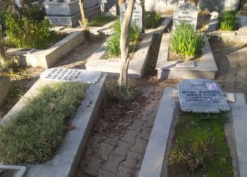 20220107 srnk 07 02 2022 mezarlik saldiri1 jpeg8f9e02 image