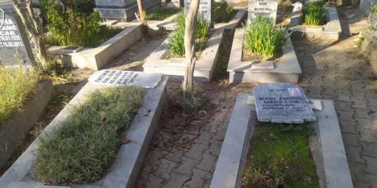 20220107 srnk 07 02 2022 mezarlik saldiri1 jpeg8f9e02 image