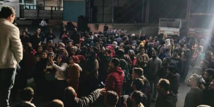 823x463cc mrkz 06 01 22 tarsus is birakti