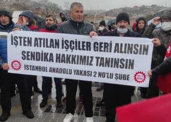 WhatsApp Image 2022 01 21 at 17.53.03