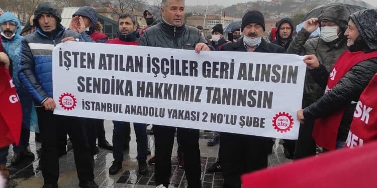 WhatsApp Image 2022 01 21 at 17.53.03