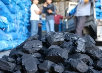 komur PaUA cover.jpg