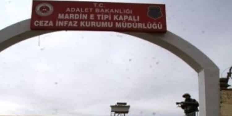 20220222 33 jpg0f04b3 image