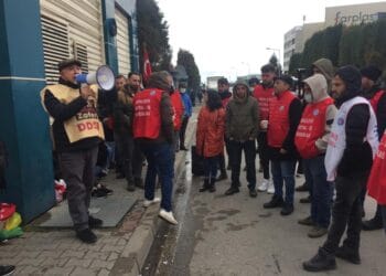 WhatsApp Image 2022 02 14 at 15.27.02