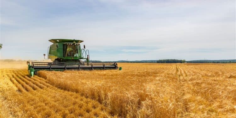 arpa yetistiriciligi