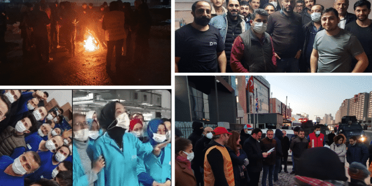 corapiscilerikazandi