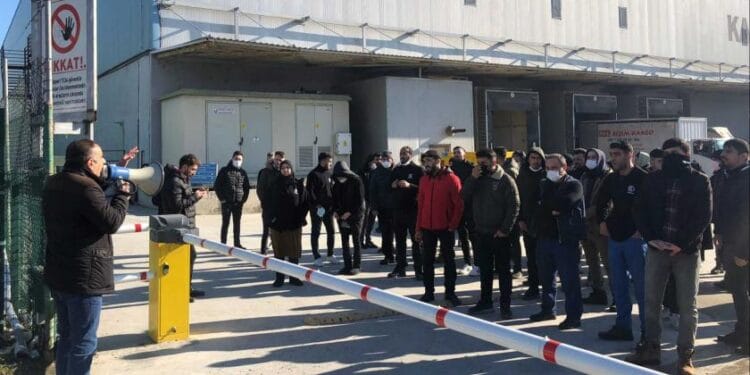 karincalojistik e1644313712188