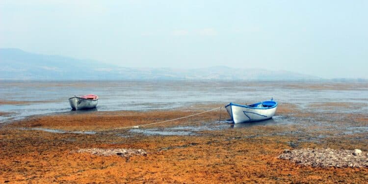 1597145139665 88864 aw 087144 12 scaled e1597222352752 scaled