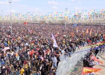 690x390cc dyb 23 03 2022 diyarbakir newrozu provokasyon girisimi7