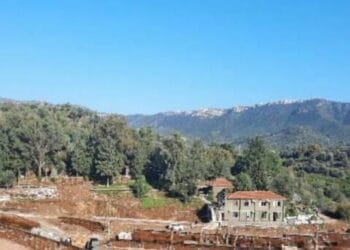 CED gerekli degildir karari