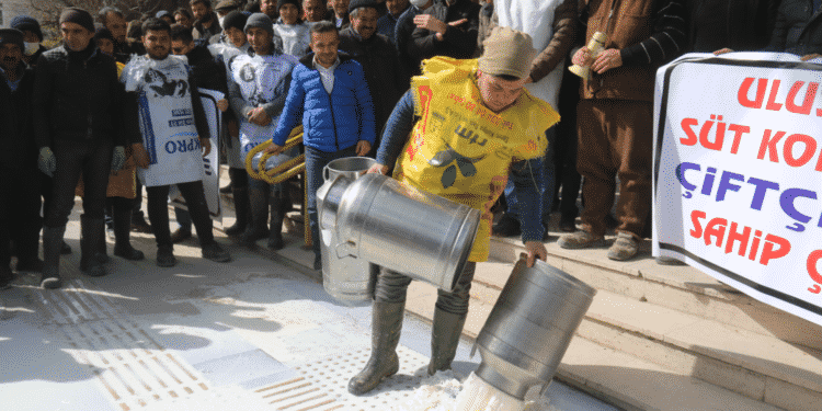 Ekran Resmi 2022 03 18 17.32.00