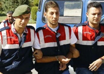 Lutfu Safa Berberlioglu