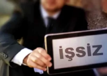 TUIK isszilik verileri