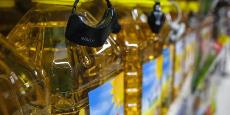 aycicek yagi 3 1024x683 1