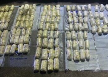 kapak 113805