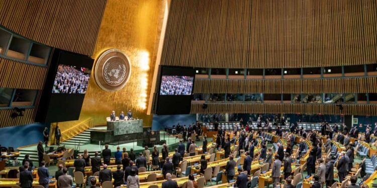 BM insan haklari konseyi