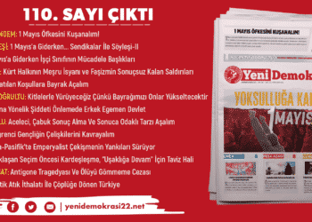 gazetecikti110