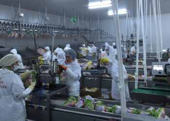 packing department web scaled e1650358499271