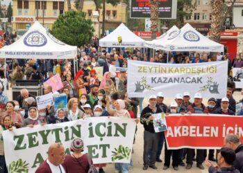 photo5971829769853057169