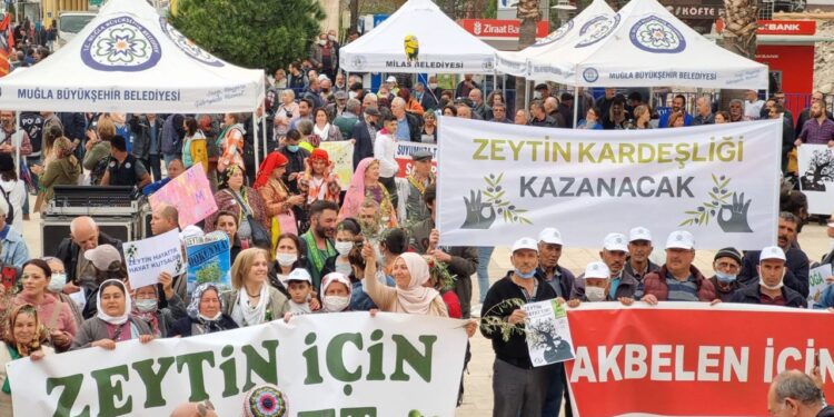 photo5971829769853057169