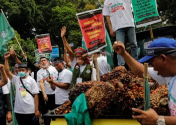 86ea3cdd 8a97 4ed1 bd63 5b51ff8a9dfe b819ec61