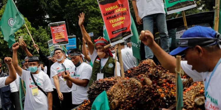 86ea3cdd 8a97 4ed1 bd63 5b51ff8a9dfe b819ec61