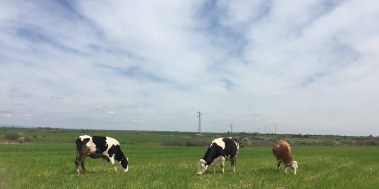 IMG 5961 2 scaled e1652511309814