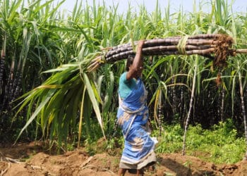 cane arrears rise over 19 to rs 22900 cr till feb of 2020 21 season amid liquidity crunch isma