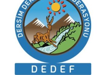 dedef.2