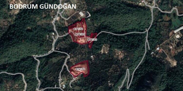 071c19f8 ab00 45a9 9d62 0c9a5485b189 16 9 1654957901