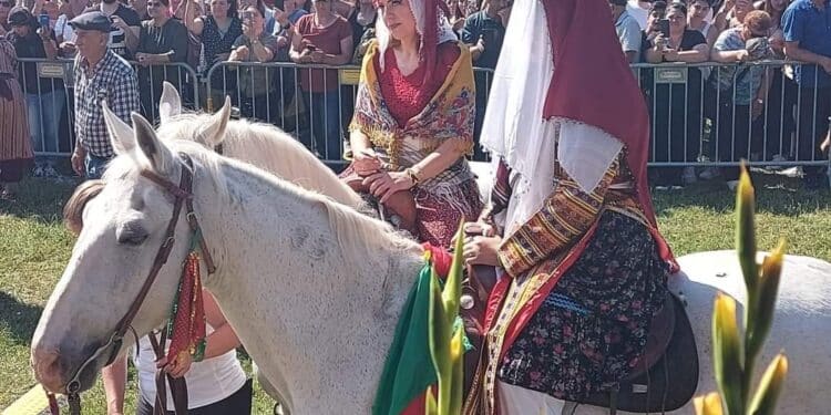 284471209 5527968483914607 8012882651423797605 n