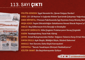 GAZETE ÇIKTI 113 Çalişma Yüzeyi 1