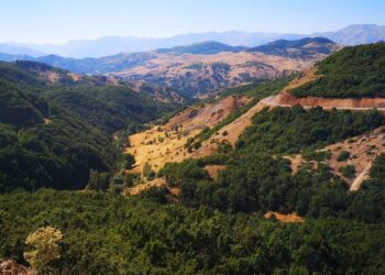 IMG 20200820 154733 scaled e1628162609762 scaled