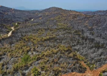 new folder 16 aa 28244737 COom cover