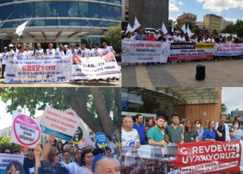 photo5859657846990420609