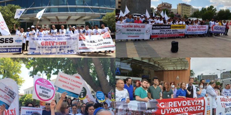 photo5859657846990420609