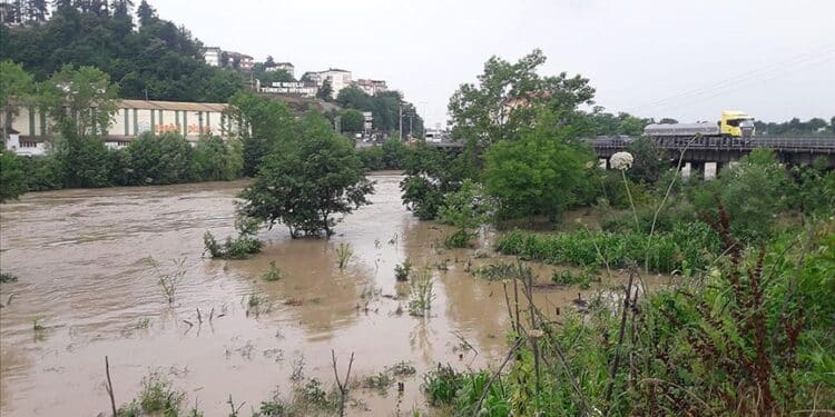 thumbs b c 9fb14a31e0ce9fc3e468794e67276a85