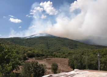 ovacik orman yangini dersim
