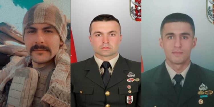 photo 5924786778311604962 y