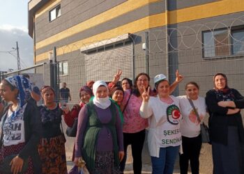 WhatsApp Image 2022 08 04 at 08.53.35