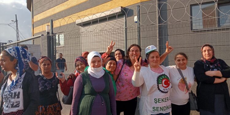 WhatsApp Image 2022 08 04 at 08.53.35