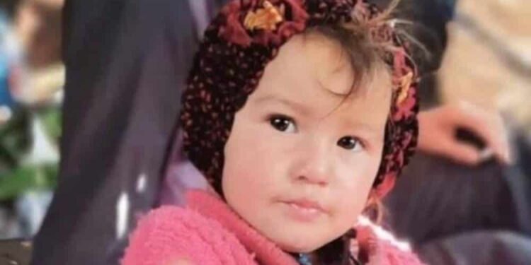 muslume  e1659870424708