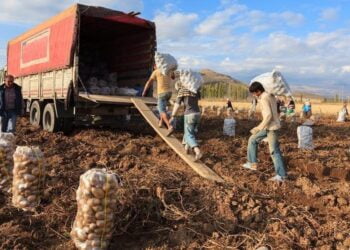 shutterstock 280030223 16 9 1644049531 16 9 1660546133