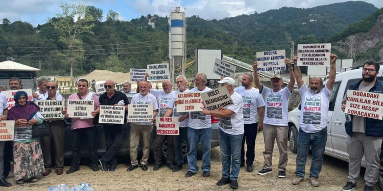 whatsapp image 2022 08 20 at 162646