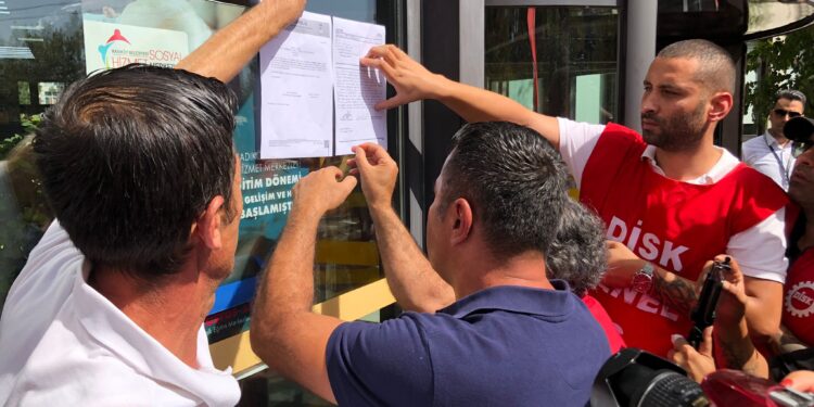 WhatsApp Image 2022 09 16 at 16.10.02