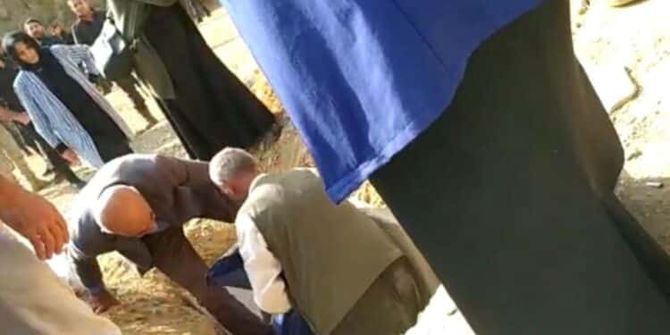 11aceab0d13c42ae6b7cbcc9e109a20a