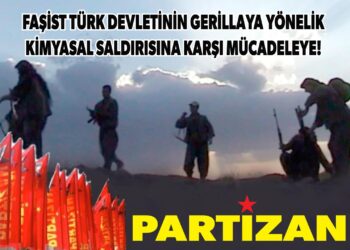 Partizan 1536x1060 1