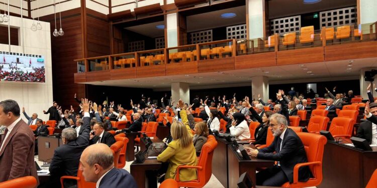 sanssuur e1665691800714