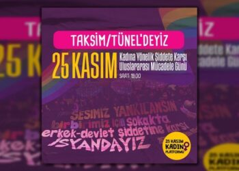 25 Kasim Kadin Platformu